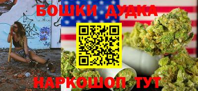 индика Новокубанск