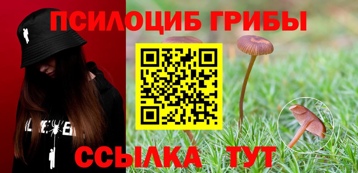 Псилоцибиновые грибы мицелий Среднеуральск